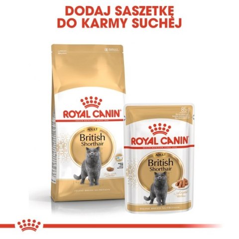 Royal Canin British Shorthair Adult karma sucha dla kotów dorosłych rasy brytyjski krótkowłosy 2kg