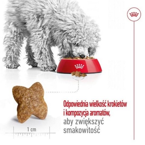 Royal Canin Mini Adult karma sucha dla psów dorosłych, ras małych 2kg