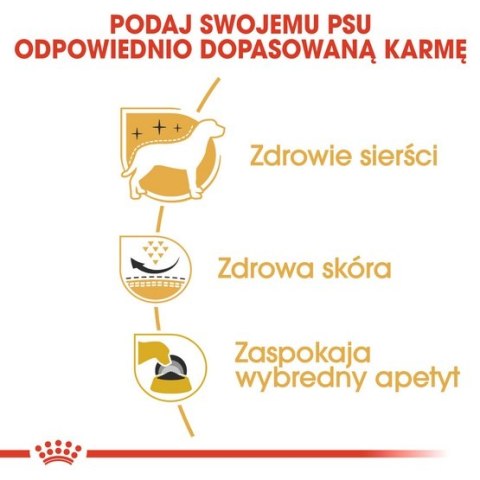 Royal Canin West Highland White Terrier Adult karma sucha dla psów dorosłych rasy west highland white terrier 1,5kg