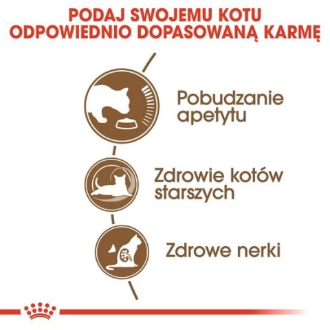 Royal Canin Ageing +12 karma sucha dla kotów dojrzałych 2kg