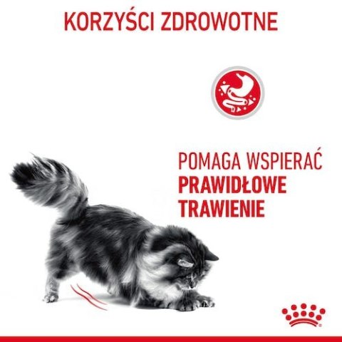 Royal Canin Digestive Care karma mokra w sosie dla kotów dorosłych, wrażliwy przewód pokarmowy saszetka 85g