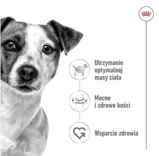 Royal Canin Mini Adult karma sucha dla psów dorosłych, ras małych 0,8kg