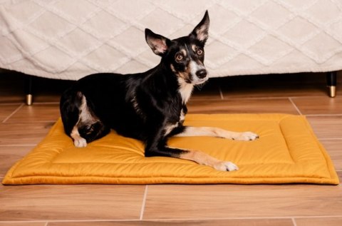 MIMIKO Pets Mata Velvet 100x70cm musztarda