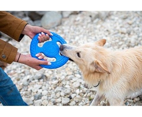 Kiwi Walker Let's Play Frisbee Maxi niebieskie