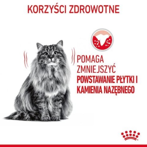 Royal Canin Dental Care karma sucha dla kotów dorosłych, redukująca odkładanie kamienia nazębnego 8kg