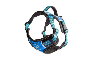 ALL FOR DOGS Szelki 2x-Sport Niebieskie L