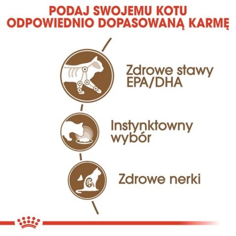 Royal Canin Ageing +12 karma mokra w galaretce dla kotów dojrzałych saszetka 85g