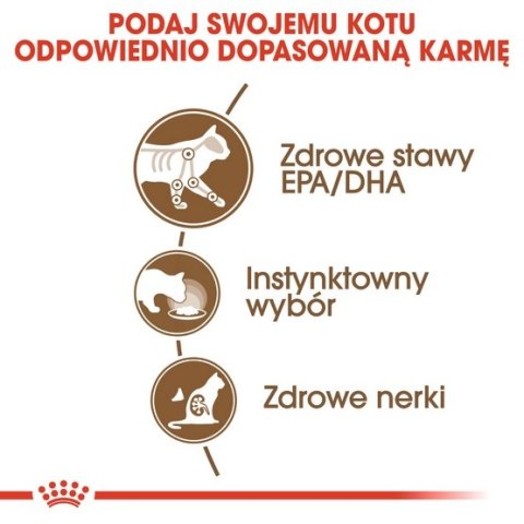 Royal Canin Ageing +12 karma mokra w sosie dla kotów dojrzałych saszetka 85g