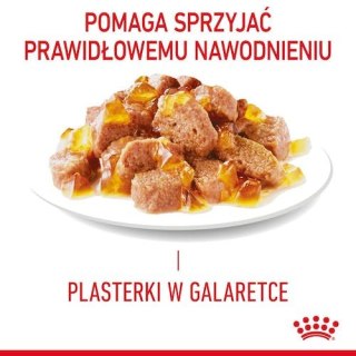 Royal Canin Hair & Skin Care karma mokra w galaretce dla kotów dorosłych, lśniąca sierść i zdrowa skóra saszetka 85g