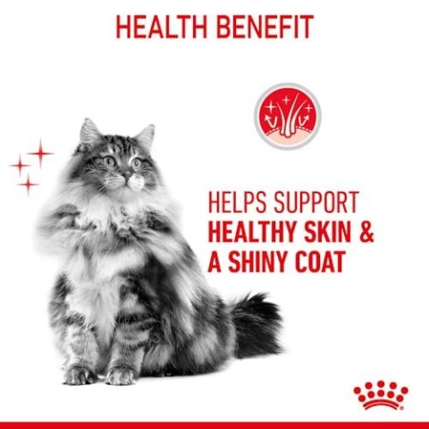 Royal Canin Hair & Skin Care w sosie karma mokra dla kotów dorosłych, zdrowa skóra, piękna sierść saszetka 85g