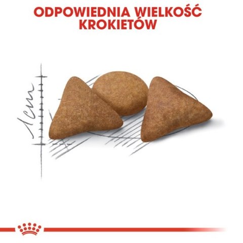 Royal Canin Indoor Apetite Control karma sucha dla kotów dorosłych przebywających w domu, domagających się jedzenia 400g