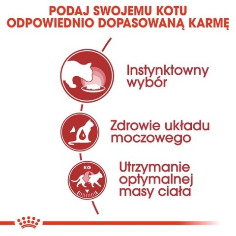 Royal Canin Instinctive w galaretce karma mokra dla kotów dorosłych, wybrednych saszetka 85g