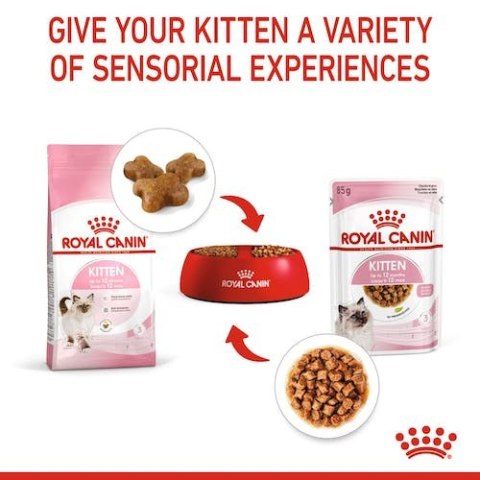 Royal Canin Kitten w galaretce karma mokra dla kociąt do 12 miesiąca życia saszetka 85g