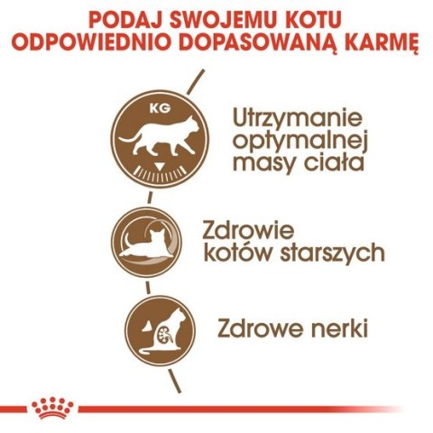 Royal Canin Ageing +12 Sterilised karma sucha dla kotów dojrzałych, sterylizowanych 4kg