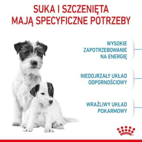 Royal Canin Mini Starter Mother&Babydog karma sucha dla szczeniąt do 2 miesiąca i suk karmiących ras małych 1kg