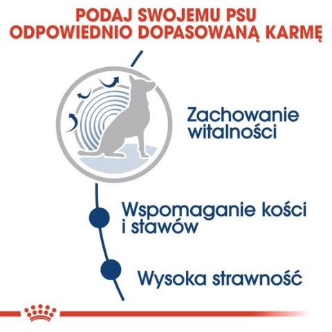 Royal Canin Maxi Ageing 8+ karma mokra w sosie dla psów dojrzałych, po 8 roku życia, ras dużych saszetka 140g