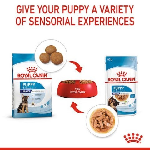 Royal Canin Maxi Puppy karma mokra w sosie dla szczeniąt, od 2 do 15 miesiąca życia, ras dużych saszetka 140g