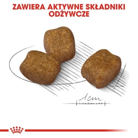 Royal Canin Mini Dental Care karma sucha dla psów dorosłych, ras małych, redukująca powstawanie kamienia nazębnego 1kg