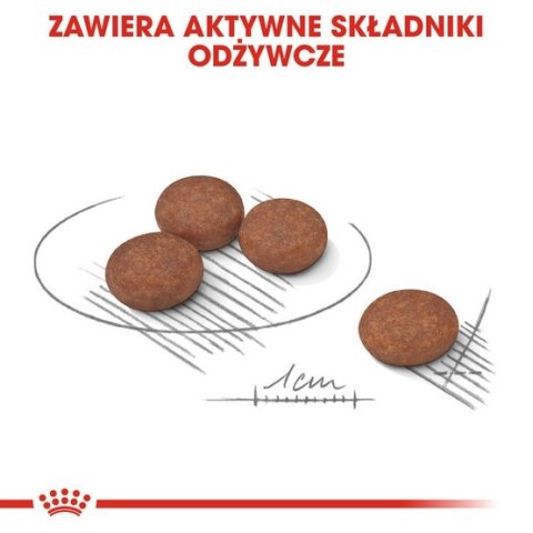 Royal Canin Mini Digestive Care karma sucha dla psów dorosłych, ras małych o wrażliwym przewodzie pokarmowym 8kg