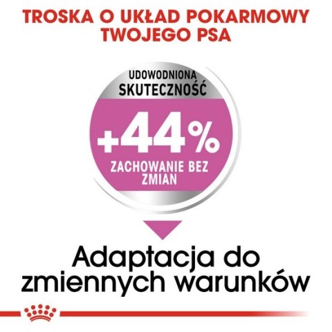 Royal Canin Mini Relax Care karma sucha dla psów dorosłych, ras małych, narażonych na działanie stresu 1kg