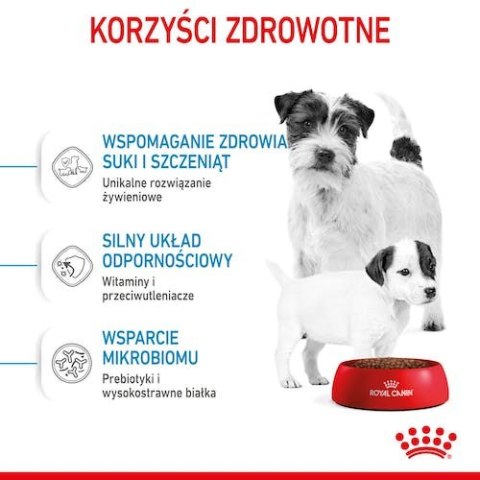 Royal Canin Mini Starter Mother&Babydog karma sucha dla szczeniąt do 2 miesiąca i suk karmiących ras małych 8kg