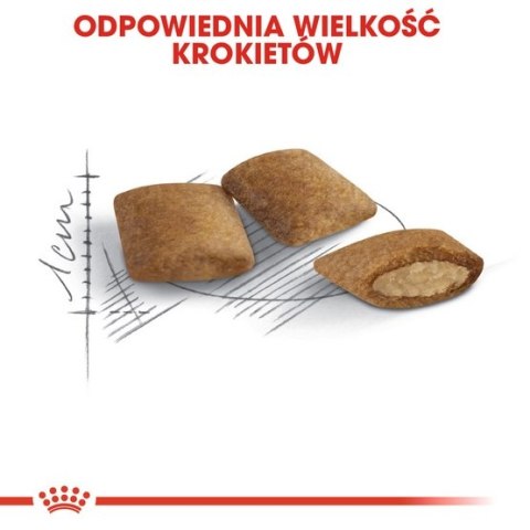 Royal Canin Ageing +12 karma sucha dla kotów dojrzałych 400g