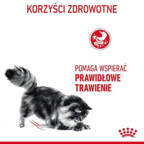 Royal Canin Digestive Care karma sucha dla kotów dorosłych, wspomagająca przebieg trawienia 10kg