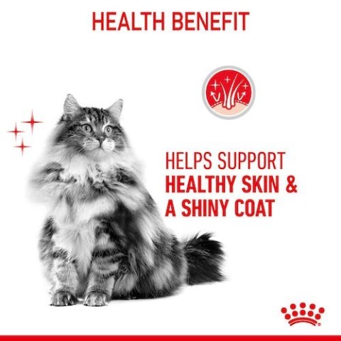 Royal Canin Hair&Skin Care karma sucha dla kotów dorosłych, lśniąca sierść i zdrowa skóra 10kg