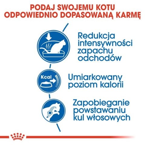 Royal Canin Indoor karma sucha dla kotów dorosłych, przebywających wyłącznie w domu 4kg