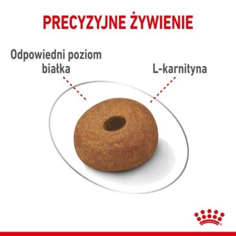 Royal Canin Maxi Light Weight Care karma sucha dla psów dorosłych, ras dużych z tendencją do nadwagi 12kg Royal Canin Maxi Light Weight Care karma sucha dla psów dorosłych, ras dużych z tendencją do nadwagi 12kg