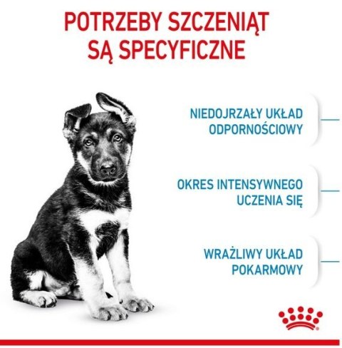 Royal Canin Maxi Puppy karma sucha dla szczeniąt, od 2 do 15 miesiąca życia, ras dużych 15kg