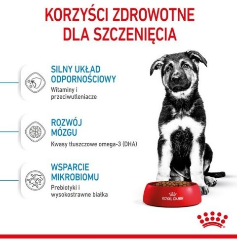 Royal Canin Maxi Puppy karma sucha dla szczeniąt, od 2 do 15 miesiąca życia, ras dużych 4kg