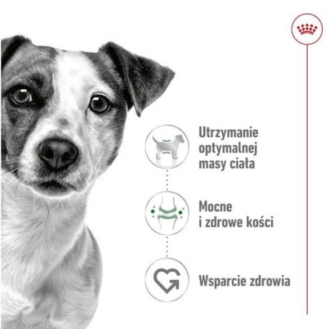 Royal Canin Mini Adult karma sucha dla psów dorosłych, ras małych 9kg (8+1kg)