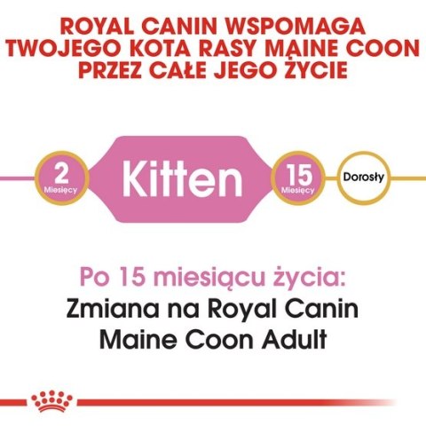 Royal Canin Maine Coon Kitten karma sucha dla kociąt, do 15 miesiąca, rasy maine coon 4kg