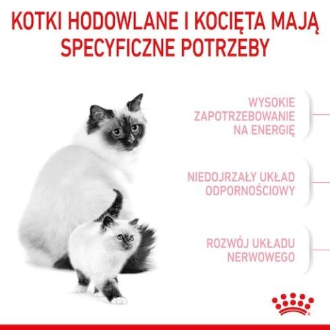 Royal Canin Mother&Babycat karma sucha dla kotek w okresie ciąży, laktacji i kociąt od 1 do 4 miesiąca 4kg