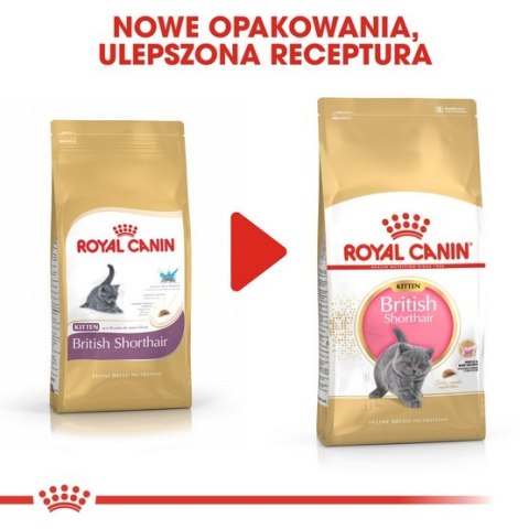 Royal Canin British Shorthair Kitten karma sucha dla kociąt, do 12 miesiąca, rasy brytyjski krótkowłosy 400g