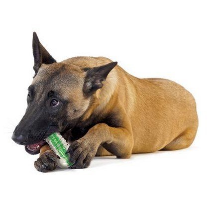 Petstages CrunchCore small PS264 Petstages CrunchCore small PS264