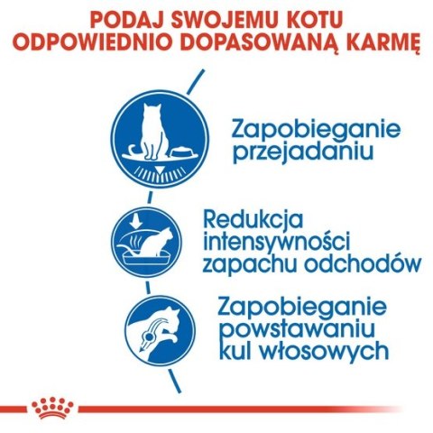 Royal Canin Indoor Apetite Control karma sucha dla kotów dorosłych przebywających w domu, domagających się jedzenia 400g