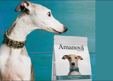 Amanova Adult Exigent Iberian Pork 2kg Amanova Adult Exigent Iberian Pork 2kg