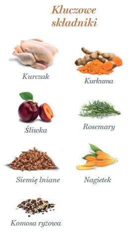 Amanova Adult Exquisite Chicken saszetka 100g Amanova Adult Exquisite Chicken saszetka 100g