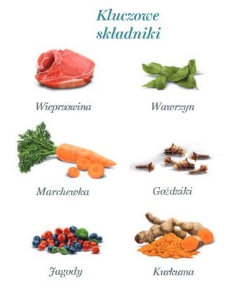 Amanova Adult Iberian Pork saszetka 100g Amanova Adult Iberian Pork saszetka 100g
