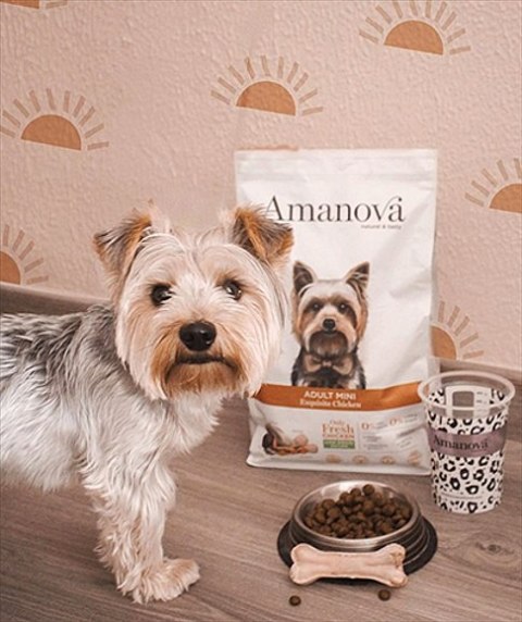 Amanova Adult Mini Exquisite Chicken 7kg Amanova Adult Mini Exquisite Chicken 7kg