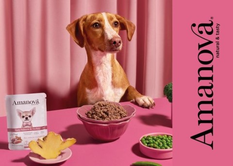 Amanova Adult Tasty Salmon & Turkey saszetka 100g Amanova Adult Tasty Salmon & Turkey saszetka 100g