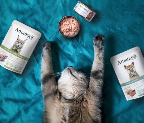Amanova Kot Chicken & Tuna w bulionie puszka 70g Amanova Kot Chicken & Tuna w bulionie puszka 70g