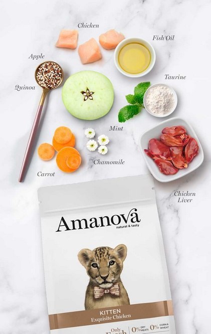 Amanova Kot Kitten Exquisite Chicken 1,5kg Amanova Kot Kitten Exquisite Chicken 1,5kg