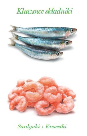 Amanova Kot Sardine & Shrimps w galaretce puszka 70g Amanova Kot Sardine & Shrimps w galaretce puszka 70g