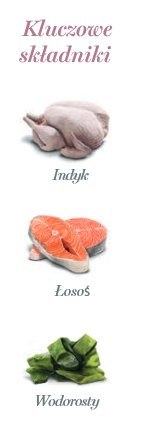Amanova Kot Tasty Salmon & Turkey saszetka 85g
