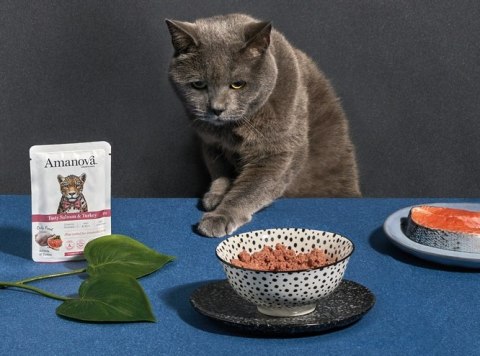 Amanova Kot Tasty Salmon & Turkey saszetka 85g