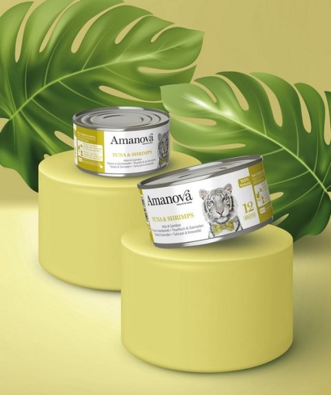 Amanova Kot Tuna & Shrimps w bulionie puszka 70g