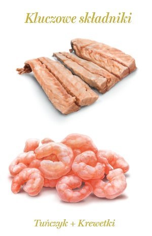 Amanova Kot Tuna & Shrimps w bulionie puszka 70g